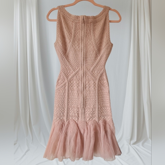 Herve Leger Natia Nude Tulle Dress Size M - Picture 2 of 9